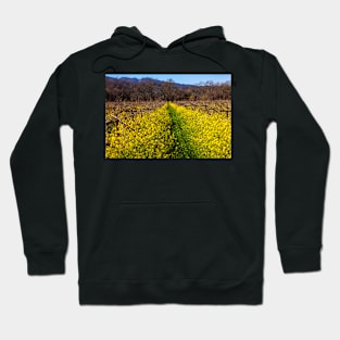 Wilde Mustard Grass In The Vineyards Hoodie